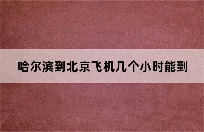 哈尔滨到北京飞机几个小时能到