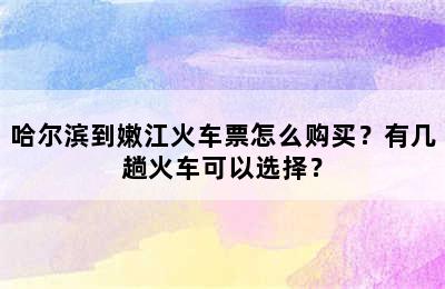 哈尔滨到嫩江火车票怎么购买？有几趟火车可以选择？