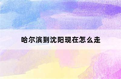 哈尔滨到沈阳现在怎么走