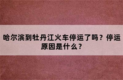 哈尔滨到牡丹江火车停运了吗？停运原因是什么？