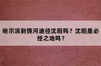 哈尔滨到饶河途径沈阳吗？沈阳是必经之地吗？