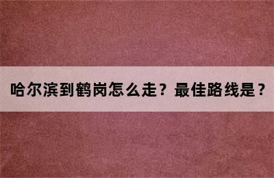 哈尔滨到鹤岗怎么走？最佳路线是？