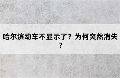哈尔滨动车不显示了？为何突然消失？