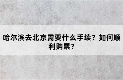 哈尔滨去北京需要什么手续？如何顺利购票？