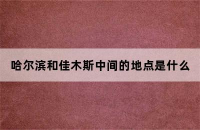 哈尔滨和佳木斯中间的地点是什么