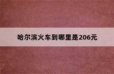 哈尔滨火车到哪里是206元