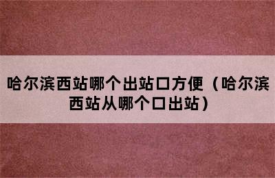 哈尔滨西站哪个出站口方便（哈尔滨西站从哪个口出站）