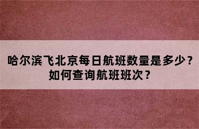 哈尔滨飞北京每日航班数量是多少？如何查询航班班次？