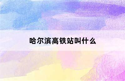 哈尔滨高铁站叫什么