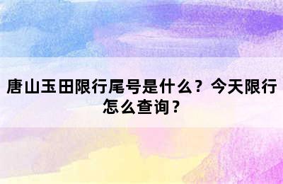 唐山玉田限行尾号是什么？今天限行怎么查询？