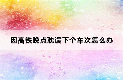 因高铁晚点耽误下个车次怎么办