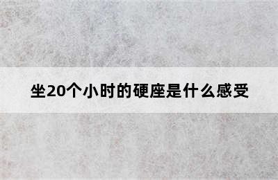 坐20个小时的硬座是什么感受