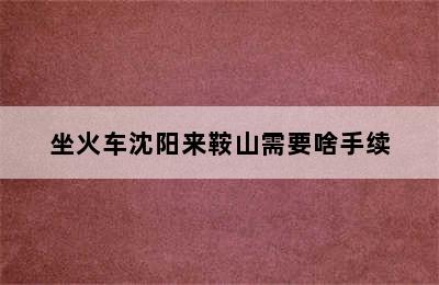坐火车沈阳来鞍山需要啥手续