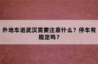 外地车进武汉需要注意什么？停车有规定吗？