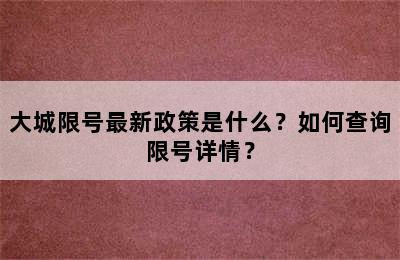 大城限号最新政策是什么？如何查询限号详情？