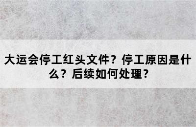 大运会停工红头文件？停工原因是什么？后续如何处理？