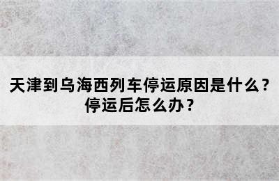 天津到乌海西列车停运原因是什么？停运后怎么办？