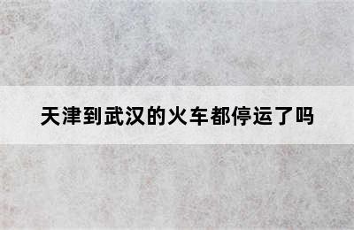 天津到武汉的火车都停运了吗