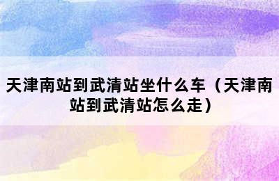 天津南站到武清站坐什么车（天津南站到武清站怎么走）