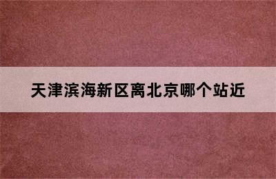 天津滨海新区离北京哪个站近