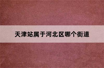 天津站属于河北区哪个街道