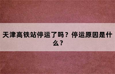天津高铁站停运了吗？停运原因是什么？