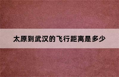 太原到武汉的飞行距离是多少