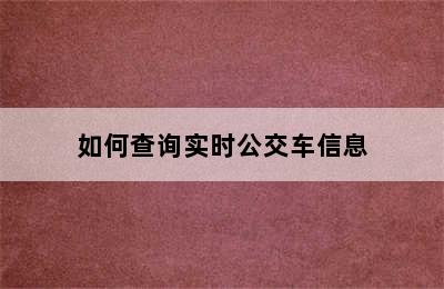 如何查询实时公交车信息