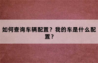 如何查询车辆配置？我的车是什么配置？