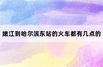 嫩江到哈尔滨东站的火车都有几点的