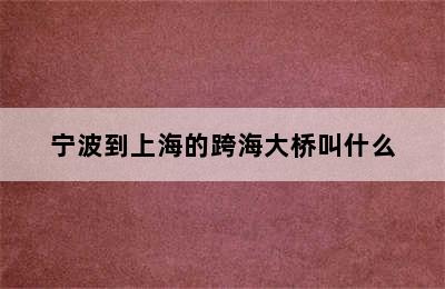 宁波到上海的跨海大桥叫什么