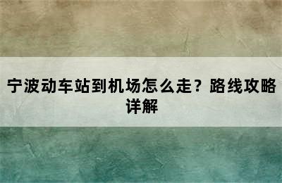 宁波动车站到机场怎么走？路线攻略详解
