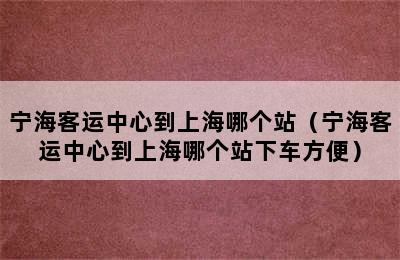 宁海客运中心到上海哪个站（宁海客运中心到上海哪个站下车方便）