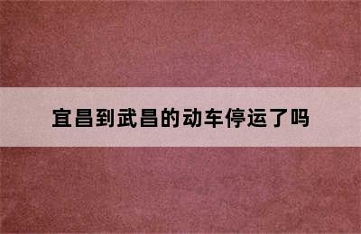 宜昌到武昌的动车停运了吗