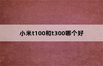 小米t100和t300哪个好
