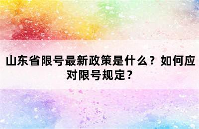 山东省限号最新政策是什么？如何应对限号规定？