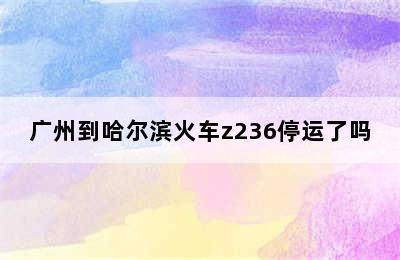 广州到哈尔滨火车z236停运了吗