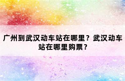广州到武汉动车站在哪里？武汉动车站在哪里购票？