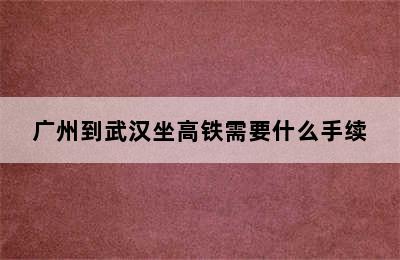 广州到武汉坐高铁需要什么手续