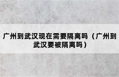 广州到武汉现在需要隔离吗（广州到武汉要被隔离吗）