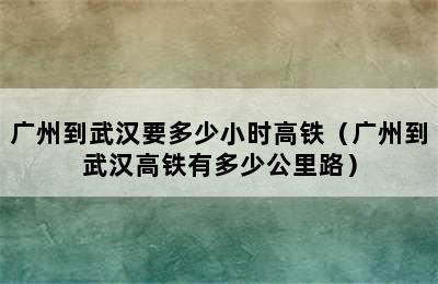 广州到武汉要多少小时高铁（广州到武汉高铁有多少公里路）