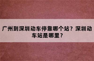 广州到深圳动车停靠哪个站？深圳动车站是哪里？