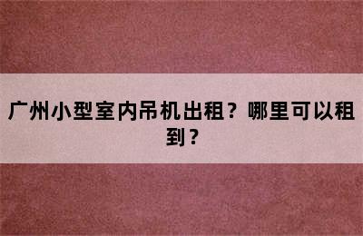 广州小型室内吊机出租？哪里可以租到？