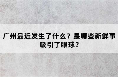 广州最近发生了什么？是哪些新鲜事吸引了眼球？