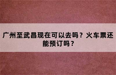 广州至武昌现在可以去吗？火车票还能预订吗？