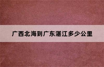 广西北海到广东湛江多少公里