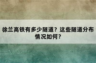 徐兰高铁有多少隧道？这些隧道分布情况如何？