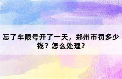 忘了车限号开了一天，郑州市罚多少钱？怎么处理？