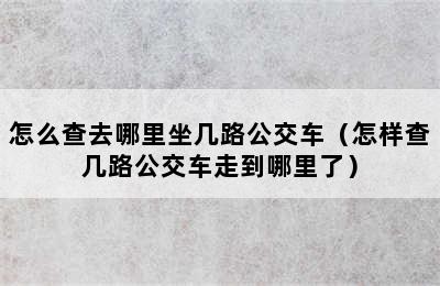 怎么查去哪里坐几路公交车（怎样查几路公交车走到哪里了）