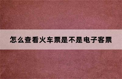 怎么查看火车票是不是电子客票